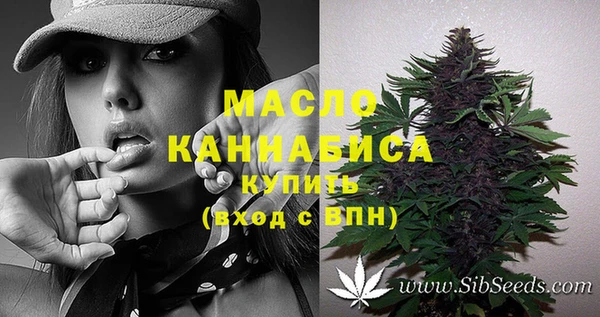 молекула духа Новодвинск