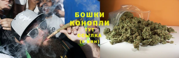 молекула духа Новодвинск