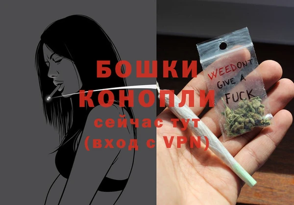 молекула духа Новодвинск