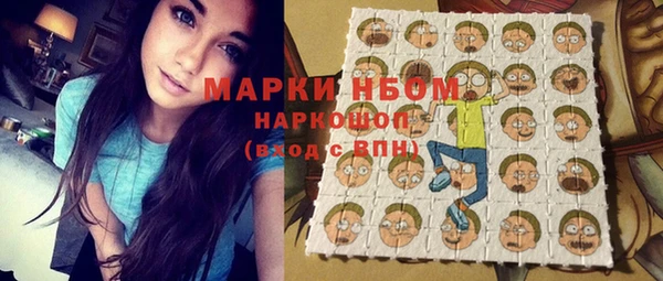 молекула духа Новодвинск