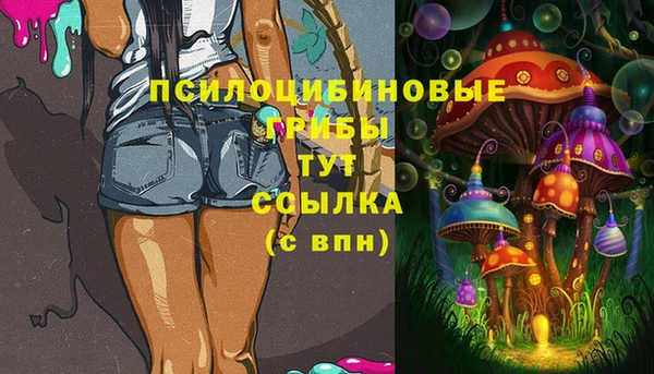 молекула духа Новодвинск