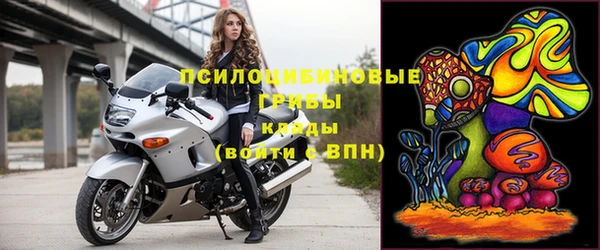 молекула духа Новодвинск