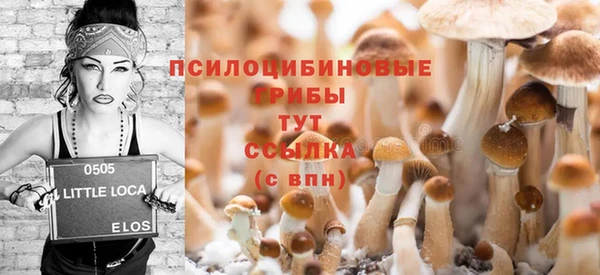 молекула духа Новодвинск